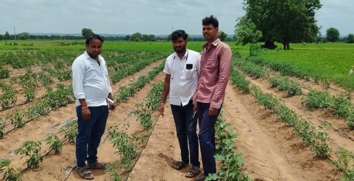 ఖరీఫ్ పంటలను పరిశీలించిన వ్యవసాయ విస్తరణ అధికారి