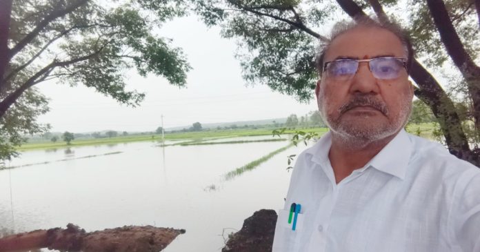 నీట మునిగిన పంటలను పరిశీలించిన ఎంపీడీఓ