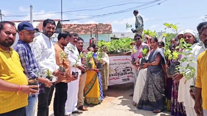ఇంటింటికి మొక్కల పంపిణీ