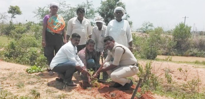 వనసంరక్షణలో భాగంగా మొక్కలు నాటిన సర్పంచ్