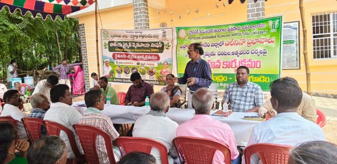 ప్రత్యామ్నాయ పంటలపై రైతులకు అవగాహన
