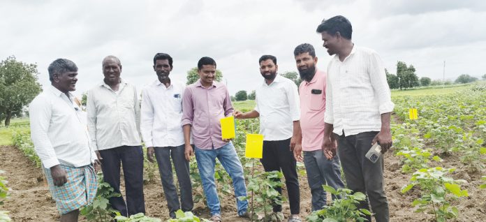 పత్తిపంటపై రైతులకు అవగాహన