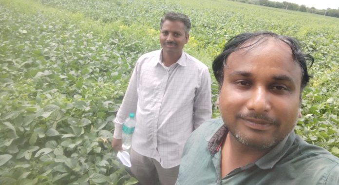పంటలను పరిశీలించిన ఏఈవో సతీష్