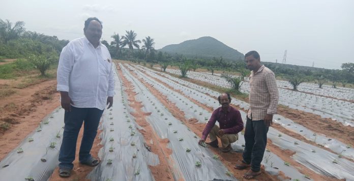 వర్షాభావం..భూగర్భ జలాలపై ప్రభావం