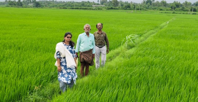 ఏడు సన్న రకాల వరికే రూ.500 లు బోనస్
