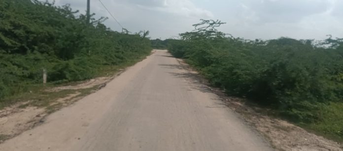 రోడ్డుకిరువైపులా కంపచెట్లను తొలగించాలి