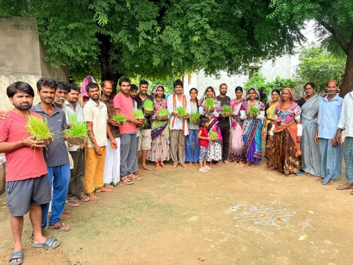 రత్తిరాం తండాలో తీజ్ పండగ వేడుకలు