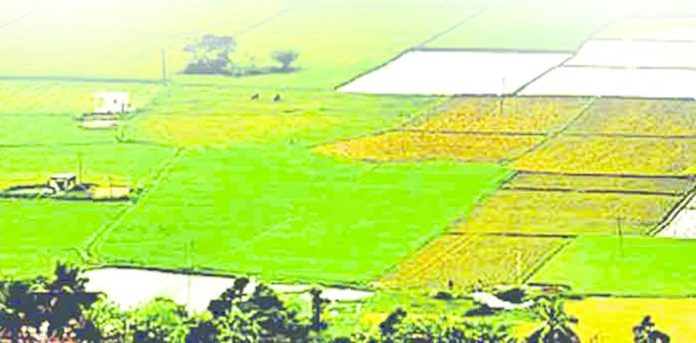 22ఏ పరిధిలో 98,02,544 ఎకరాలు
