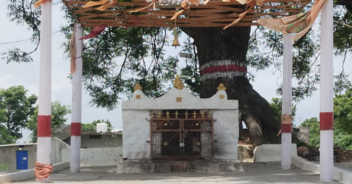 మాందాపూర్లో 9న కోట మైసమ్మ బోనాలు