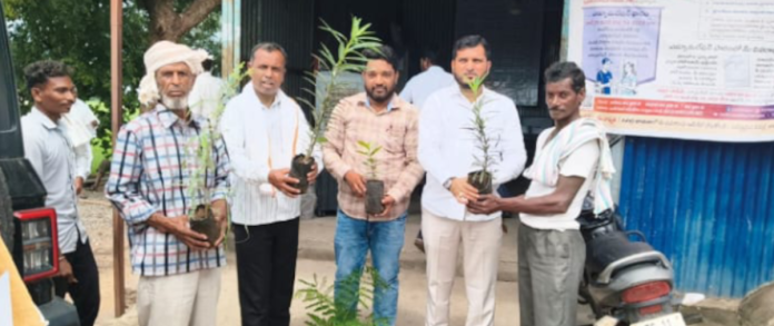 మొక్కలను పెంచి పర్యావరణాన్ని కాపాడుదాం: సర్పంచ్