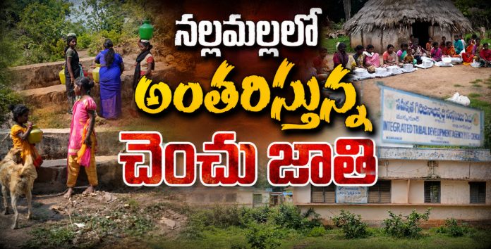 నల్లమల్లలో అంతరిస్తున్న చెంచు జాతి