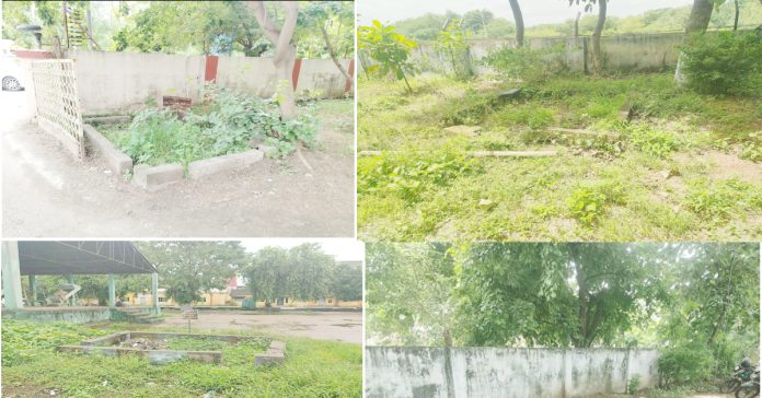 నీరు ఇంకేదెలా..?