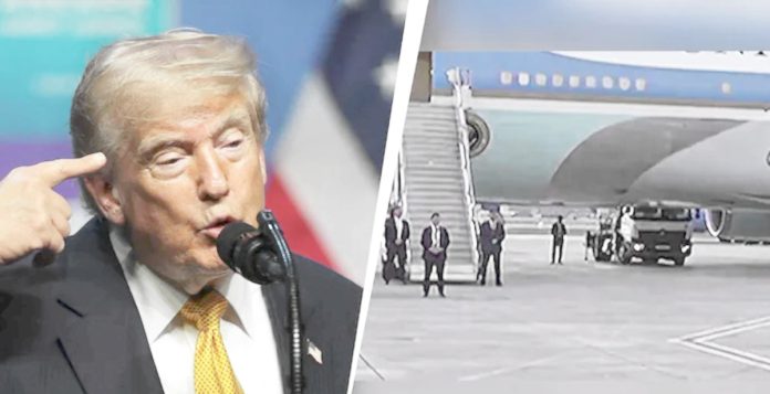 Trump in a container
