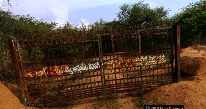 Mafia in Nallamala Forest..?