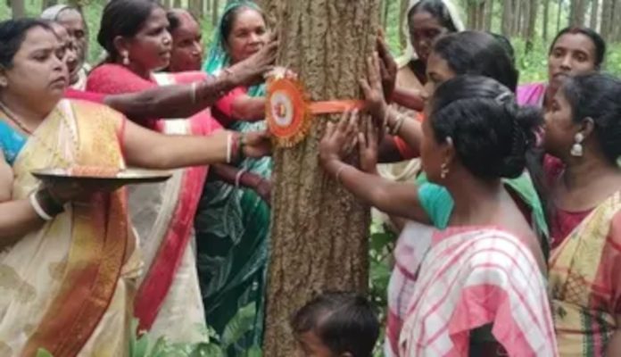 3 లక్షల చెట్లకు రాఖీలు..
