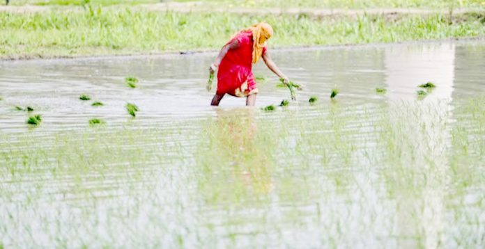 అన్నం కూడా భారమే!