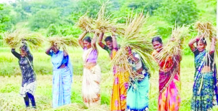 శ్రమ ఎక్కువ..హక్కులు తక్కువ