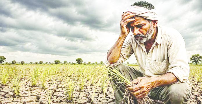 ఆగస్టు వానలొచ్చినా.. వర్షాభావమే!