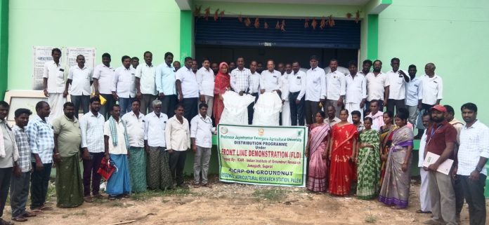 గిర్నార్-4తో వేరుశనగ రైతులకు కొత్త ఆశలు