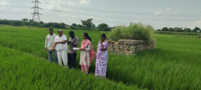 డిజిటల్ క్రాఫ్ట్ పంట నమోదును పకడ్బందీగా చేయాలి