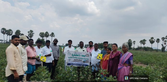 పురుగు యాజమాన్య పద్ధతులపై అవగాహన