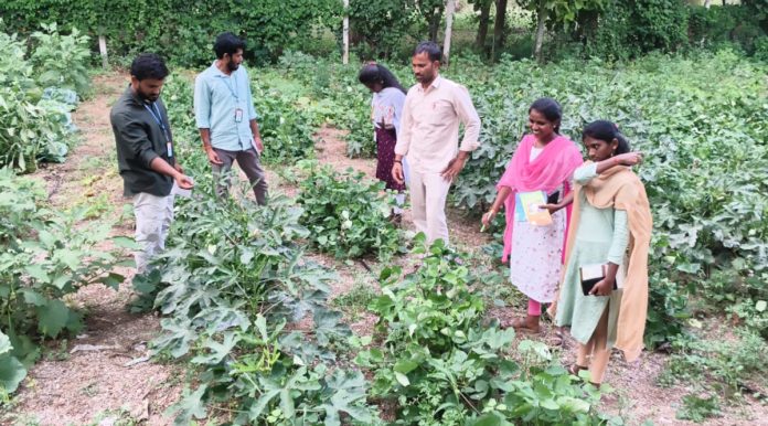 గ్రామ భారతిని సందర్శించిన ఎంజీయూ విద్యార్థులు
