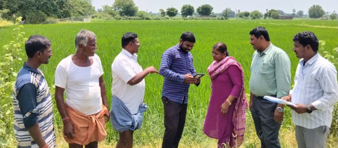 సన్నధాన్యం సాగు వివరాల నమోదు సెప్టెంబర్ 18లోపు పూర్తి చేయాలి