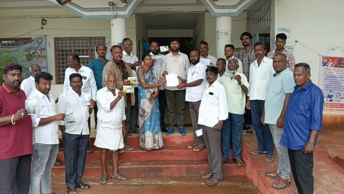 పంట పొలాల్లో పందుల బీభత్సం! Pigs are rampaging in the fields!