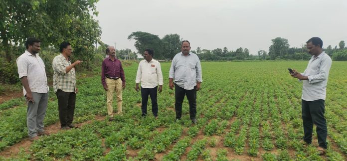 డిజిటల్ క్రాప్ సర్వేకు సహకరించాలి