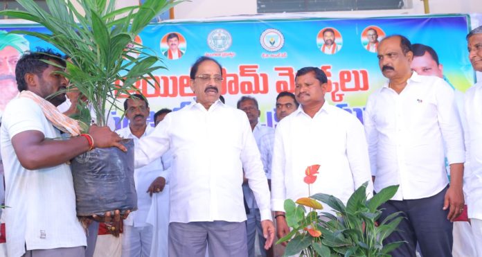 పామాయిల్ రైతులకు అండగా ప్రభుత్వం