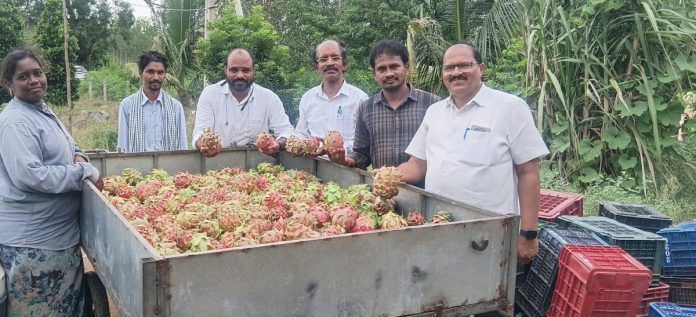 వర్షాభావాన్ని అధిగమిస్తూ ప్రత్యామ్నాయ పంటల వైపు రైతులు