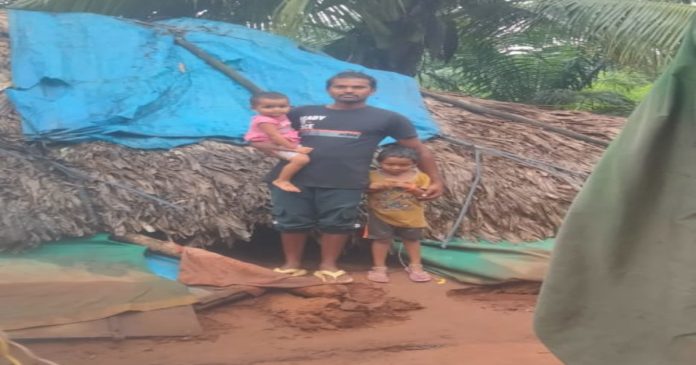 వర్షానికి కూలిన కచ్చా గృహం Thatched house collapsed due to rain