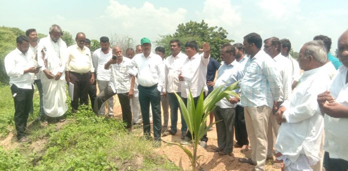 అక్రమ వెంచర్ను పరిశీలించిన ఆర్డీఓ