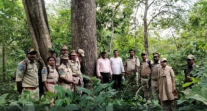 Forest conservation is the main goal