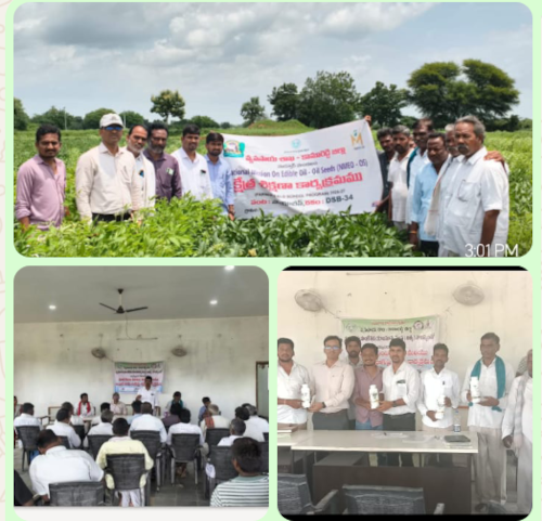 నూనెగింజల ఆయిల్ ఫామ్ సాగుపై శిక్షణ