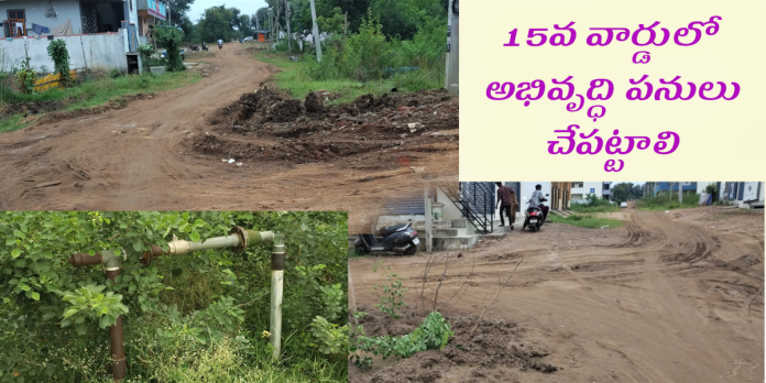కాలనీలో రోడ్లు, డ్రైనేజీలు నిర్మించాలి