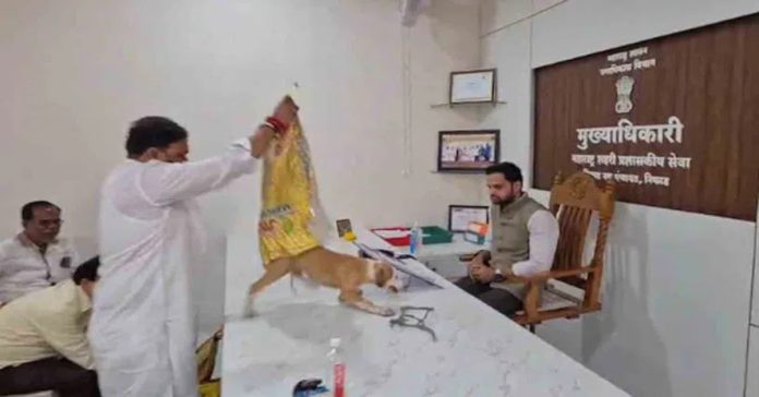 వీధి కుక్కల బెడద..మహారాష్ట్రలో వినూత్న నిరసన..వీడియో