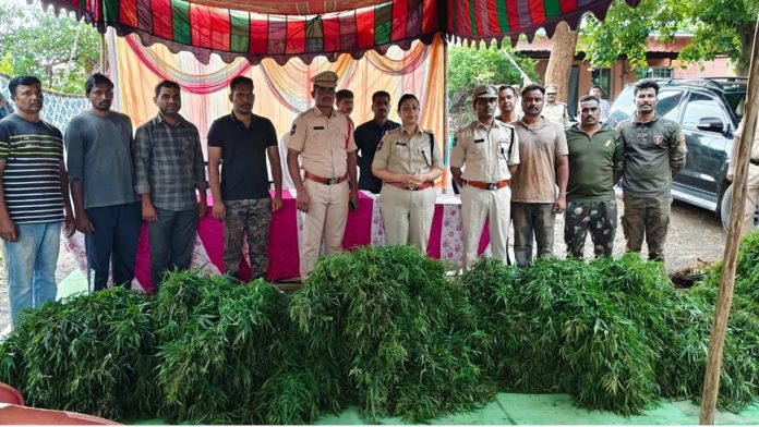 వ్యవసాయ భూమిలో గంజాయి సాగు..ఇద్దరు అరెస్టు