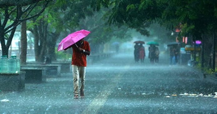 వానలు పడినా వర్షాభావం వీడలేదు